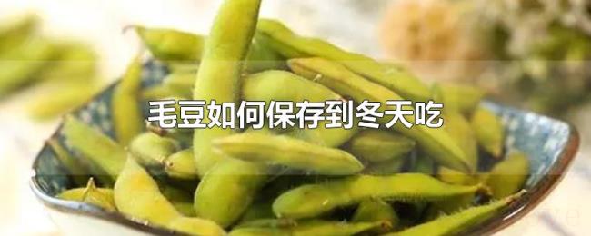 毛豆如何保存到冬天吃 毛豆如何保存到冬天吃