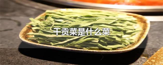 干贡菜是什么菜 干贡菜是什么菜