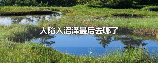 人陷入沼泽最后去哪了 人陷入沼泽最后去哪了