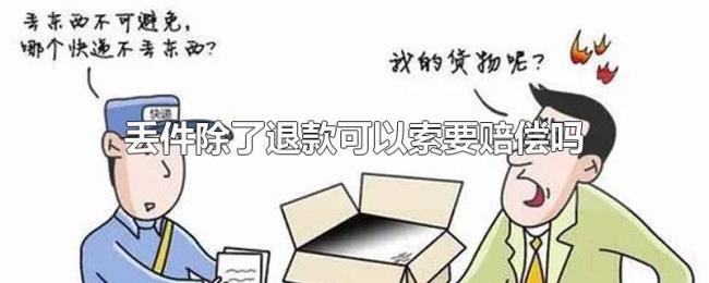 丢件除了退款可以索要赔偿吗 丢件除了退款可以索要赔偿吗