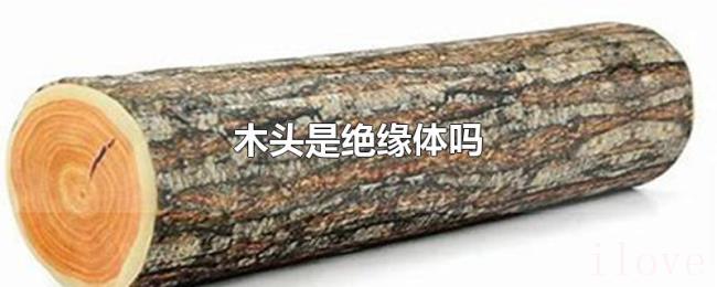 木头是绝缘体吗 木头是绝缘体吗