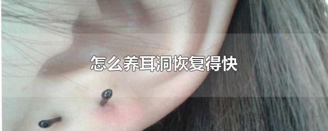 怎么养耳洞恢复得快 怎么养耳洞恢复得快