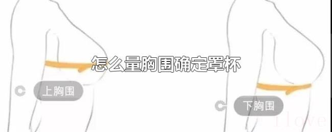 怎么量胸围确定罩杯 怎么量胸围确定罩杯