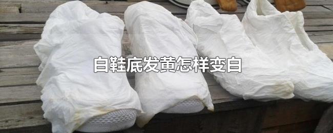 白鞋底发黄怎样变白