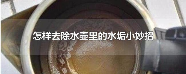 怎样去除水壶里的水垢小妙招 怎样去除水壶里的水垢小妙招