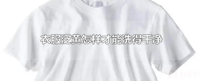衣服泛黄怎样才能洗得干净