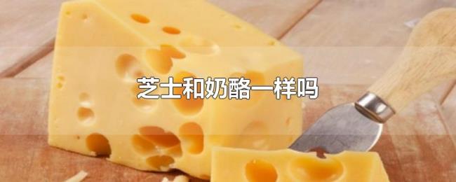 芝士和奶酪一样吗 芝士和奶酪一样吗