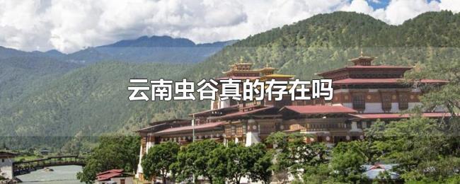 云南虫谷真的存在吗 云南虫谷真的存在吗