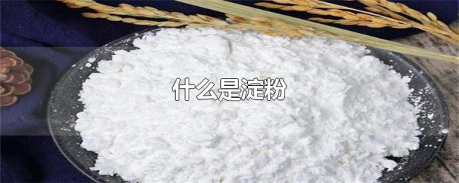 什么是淀粉 什么是淀粉