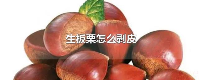生板栗怎么剥皮 生板栗怎么剥皮