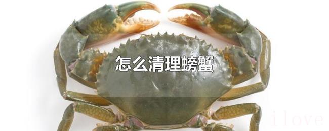 怎么清理螃蟹 怎么清理螃蟹