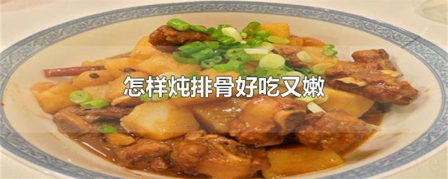 怎样炖排骨好吃又嫩 怎样炖排骨好吃又嫩