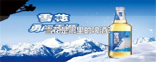 雪花是哪里的啤酒? 雪花是哪里的啤酒?