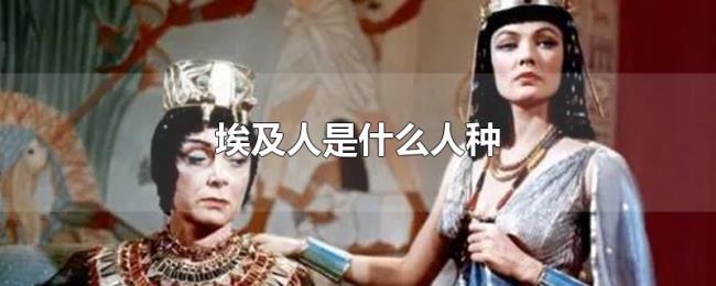 埃及人是什么人种