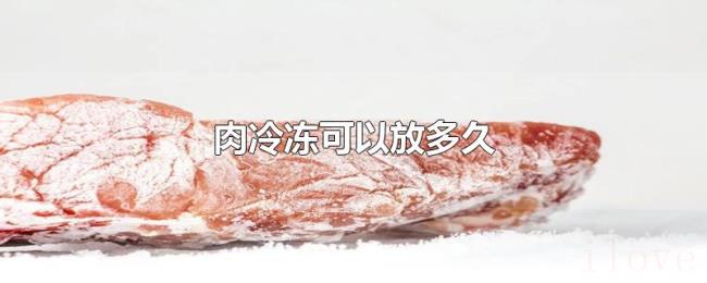 肉冷冻可以放多久 肉冷冻可以放多久