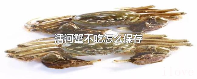 活河蟹不吃怎么保存 活河蟹不吃怎么保存