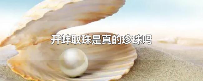 开蚌取珠是真的珍珠吗 开蚌取珠是真的珍珠吗