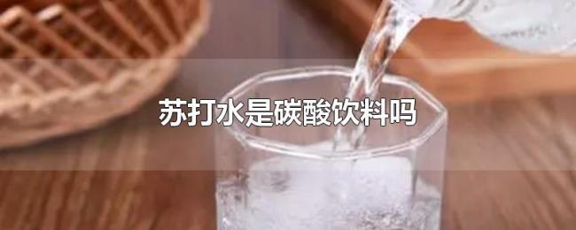 苏打水是碳酸饮料吗 苏打水是碳酸饮料吗