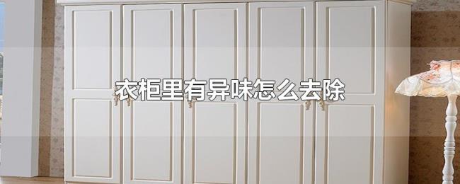 衣柜里有异味怎么去除
