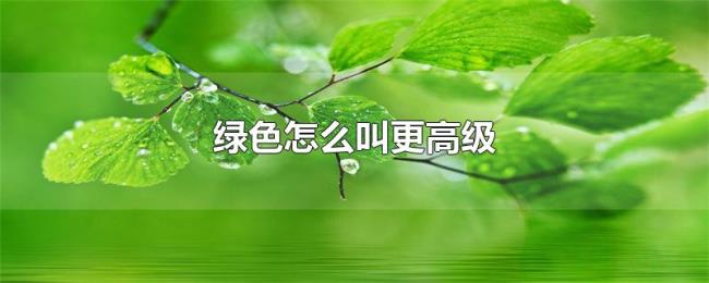 绿色怎么叫更高级