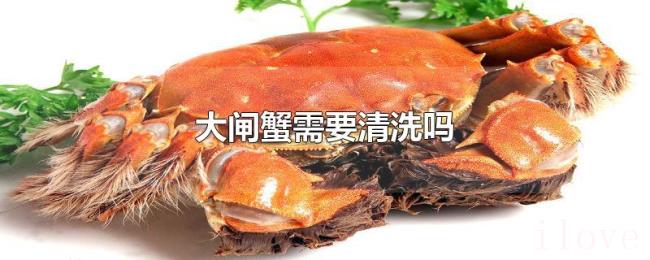 大闸蟹需要清洗吗 大闸蟹需要清洗吗