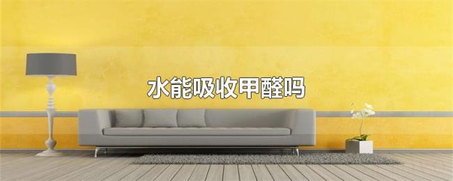 水能吸收甲醛吗 水能吸收甲醛吗