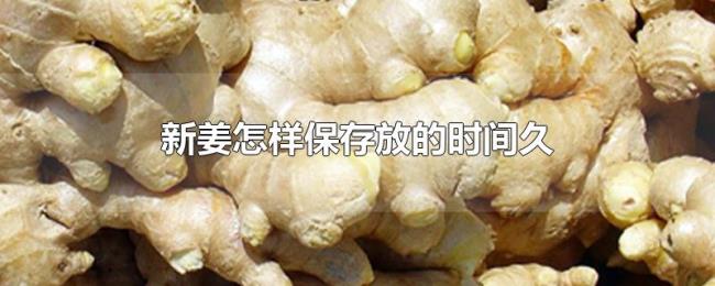 新姜怎样保存放的时间久 新姜怎样保存放的时间久