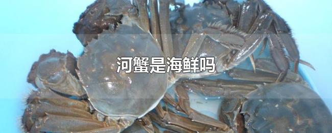 河蟹是海鲜吗