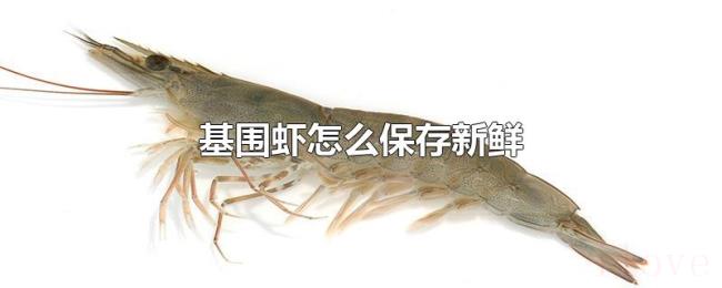 基围虾怎么保存新鲜