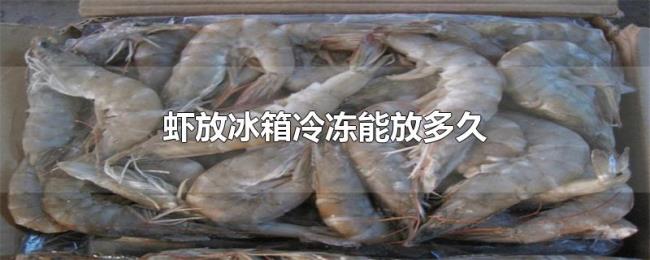 虾放冰箱冷冻能放多久