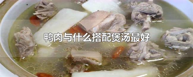 鸭肉与什么搭配煲汤最好 鸭肉与什么搭配煲汤最好