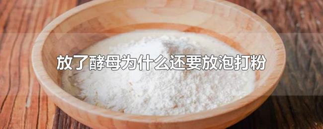 放了酵母为什么还要放泡打粉