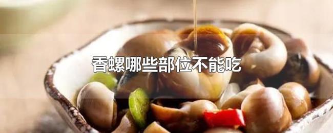 香螺哪些部位不能吃 香螺哪些部位不能吃