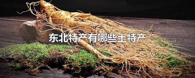 东北特产有哪些土特产 东北特产有哪些土特产