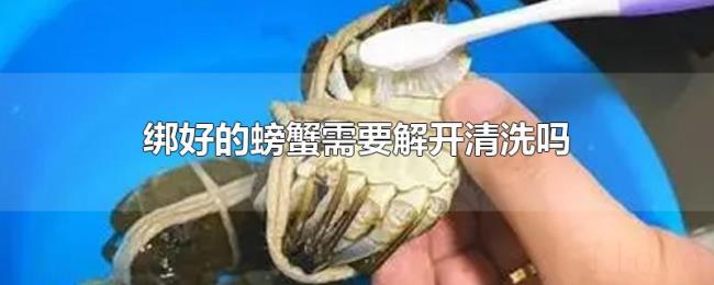绑好的螃蟹需要解开清洗吗 绑好的螃蟹需要解开清洗吗