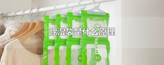 除湿袋是什么原理 除湿袋是什么原理