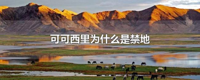 可可西里为什么是禁地 可可西里为什么是禁地