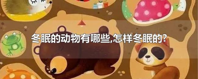 冬眠的动物有哪些,怎样冬眠的? 冬眠的动物有哪些,怎样冬眠的?