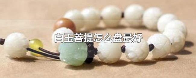 白玉菩提怎么盘最好 白玉菩提怎么盘最好