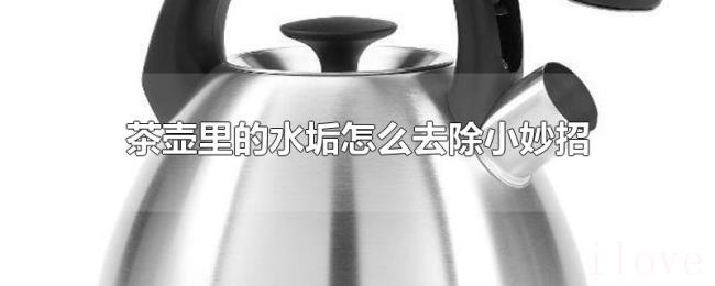 茶壶里的水垢怎么去除小妙招