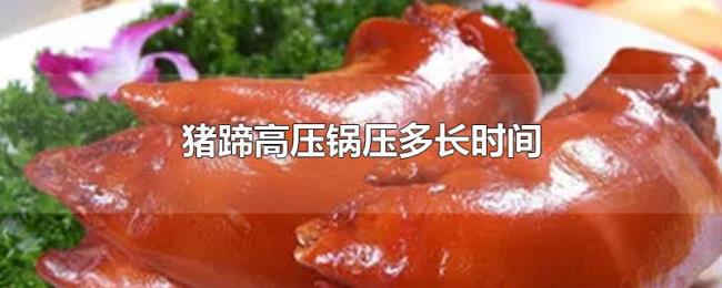 猪蹄高压锅压多长时间 猪蹄高压锅压多长时间