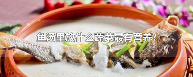 鱼汤里放什么蔬菜最有营养?