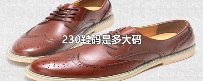230鞋码是多大码 230鞋码是多大码