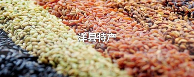 洋县特产 洋县特产