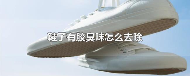 鞋子有胶臭味怎么去除 鞋子有胶臭味怎么去除