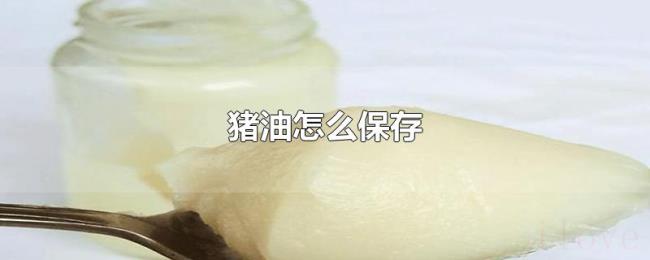 猪油怎么保存