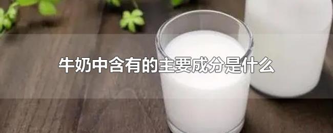 牛奶中含有的主要成分是什么