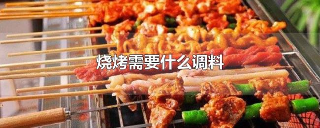 烧烤需要什么调料