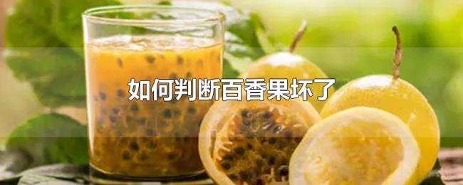 如何判断百香果坏了