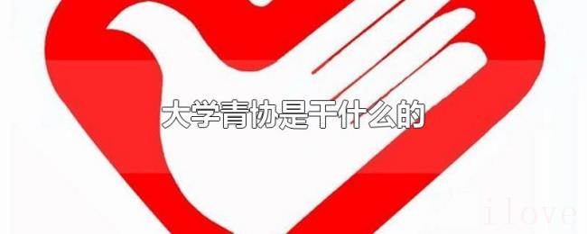 大学青协是干什么的
